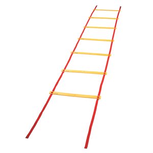 Agility ladder