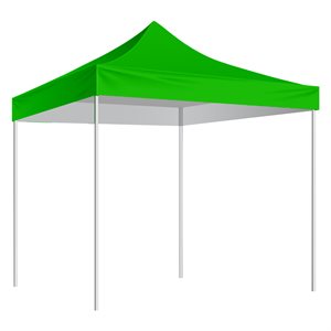 10'x10' shelter, green