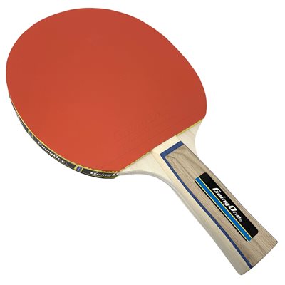 Raquette de tennis de table en bois pour intermédiaire
