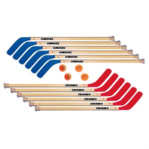 12 bâtons de hockey 42" + balles / rondelles