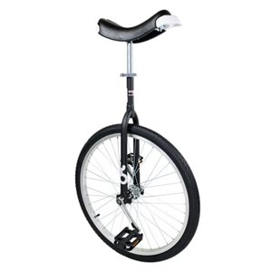 Monocycle «OnlyOne», 61 cm (24")